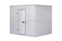 Supply &amp; Installation of Freezer Room (20 ft Freezer)