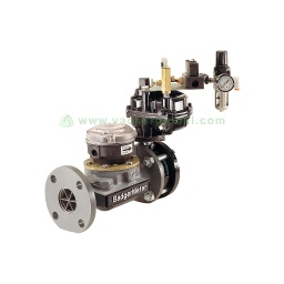 Turbo Meter with Butterfly Valve Assembly